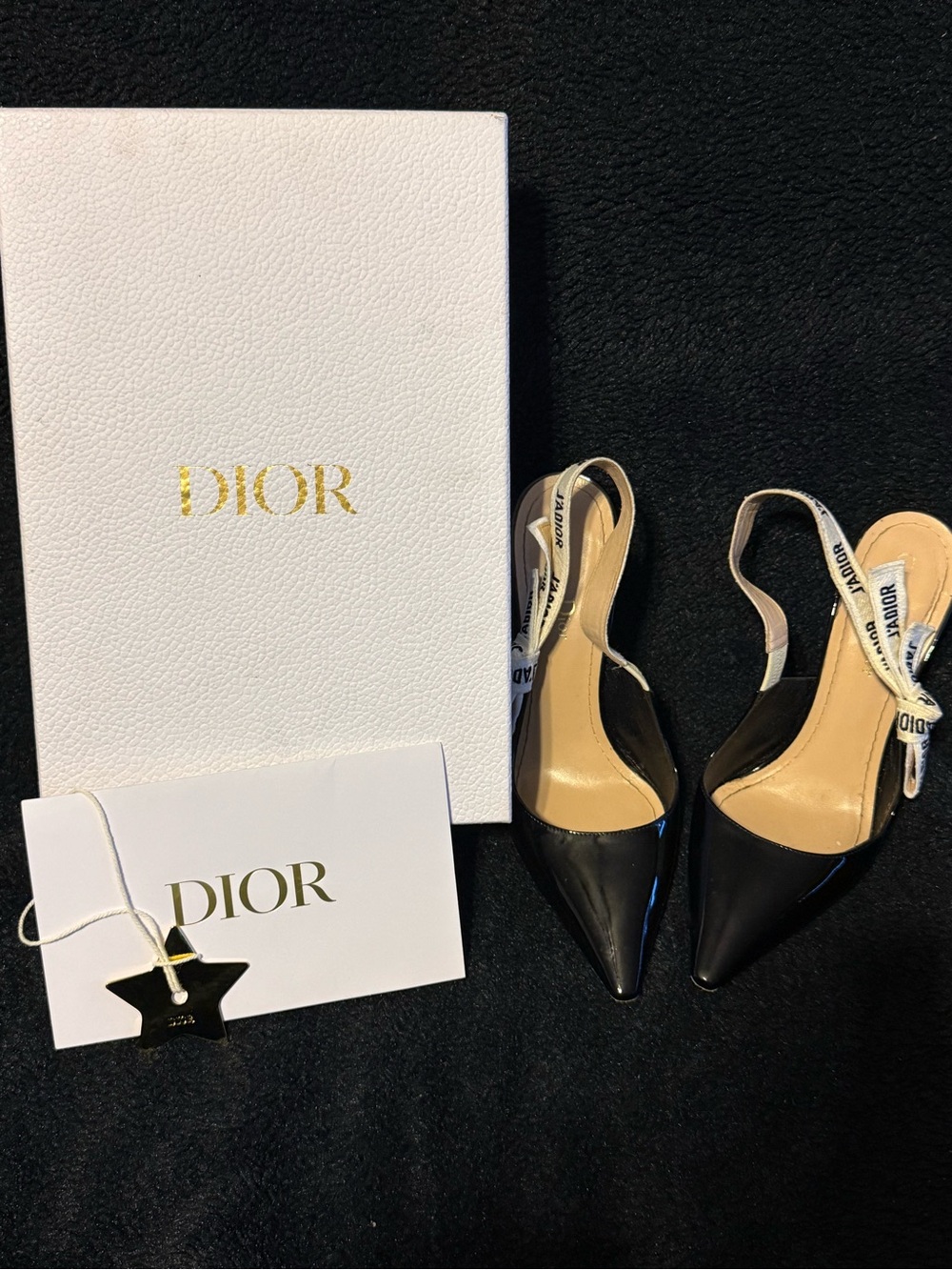Dior Slingback Pumps